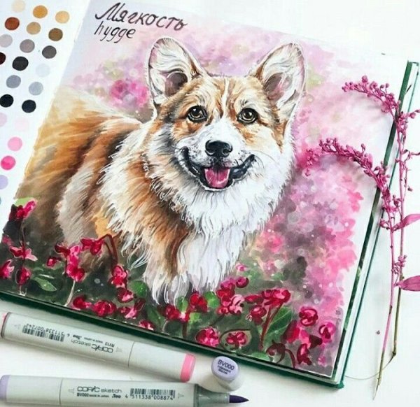 Скетчи животных маркерами