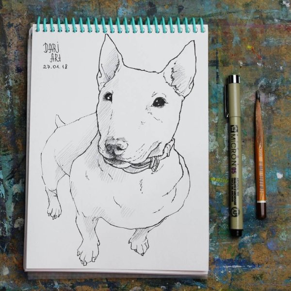 Скетч линерами собака