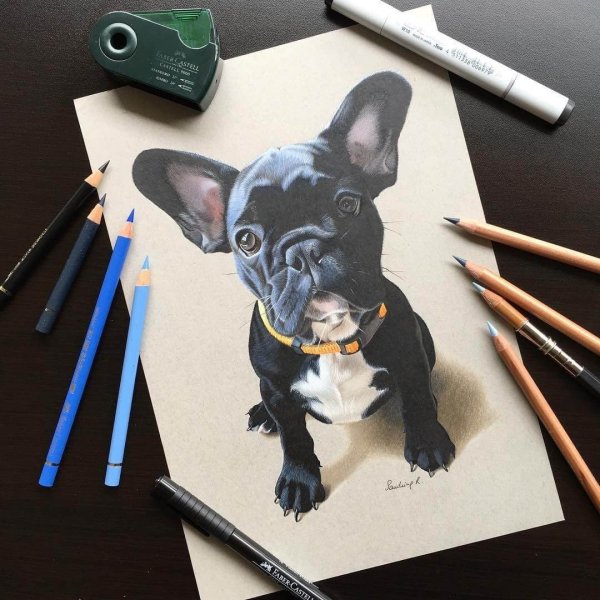 Животные маркерами