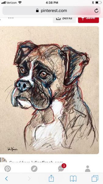 Наброски животных маркером