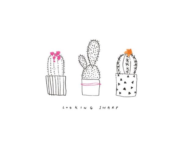 Блокнот с кактусами