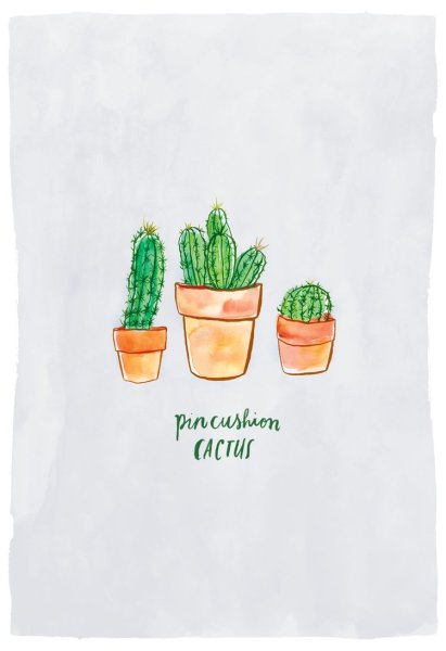 Кактусы для скетчбука