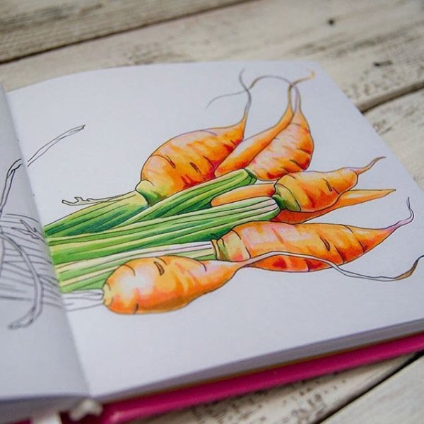 Еда цветными карандашами