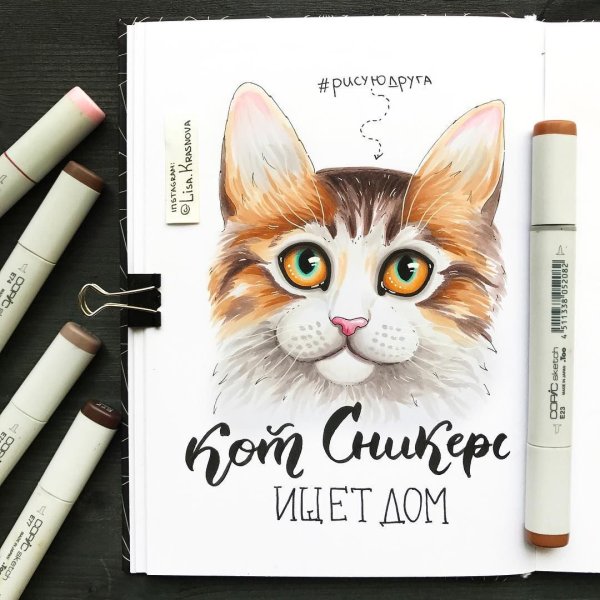 Кот скетч маркерами
