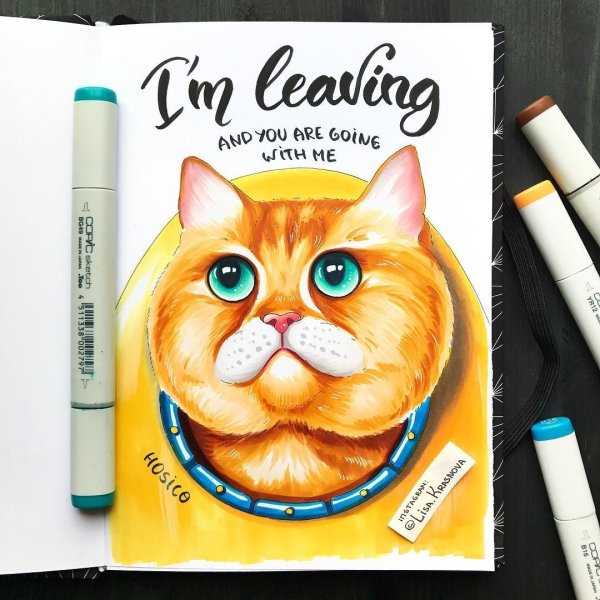 Котик маркерами