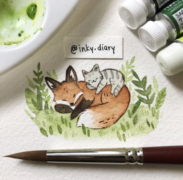 Лиса маркерами