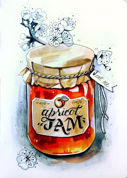 Мед рисунок карандашом