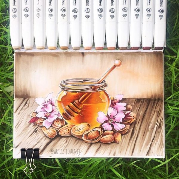 Мёд рисунок маркерами