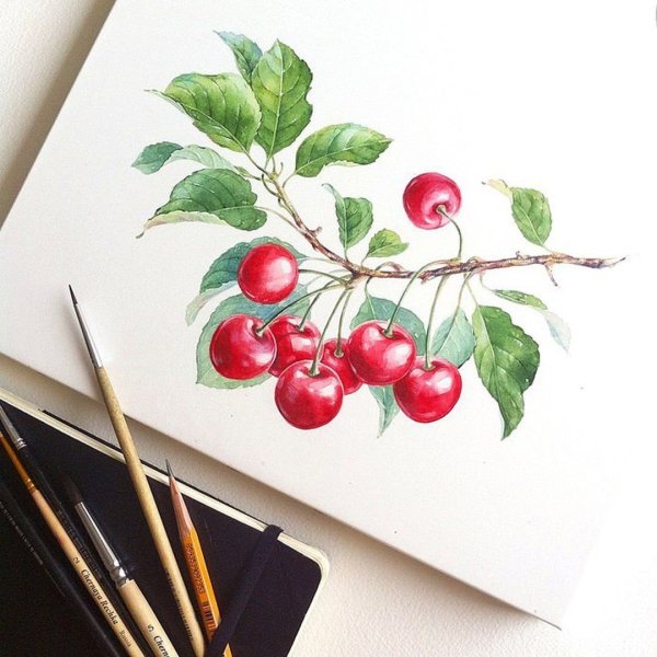 Скетчинг ягоды