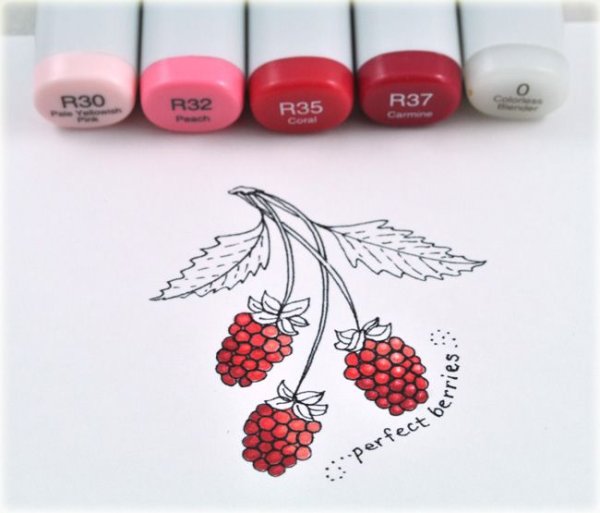 Малина скетч маркерами