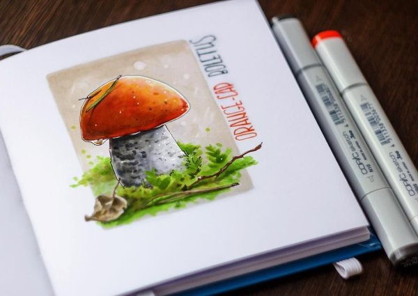 Мухомор скетч маркерами