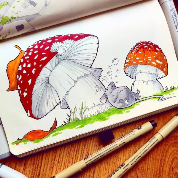 Скетчинг грибы