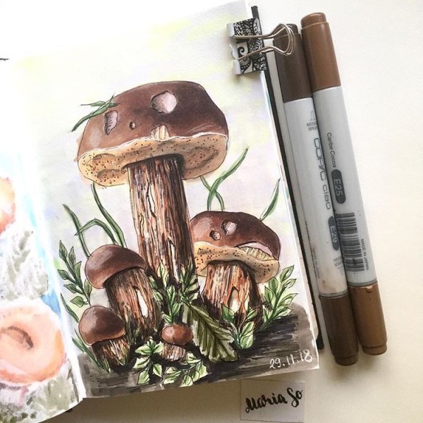 Грибы скетчинг маркерами