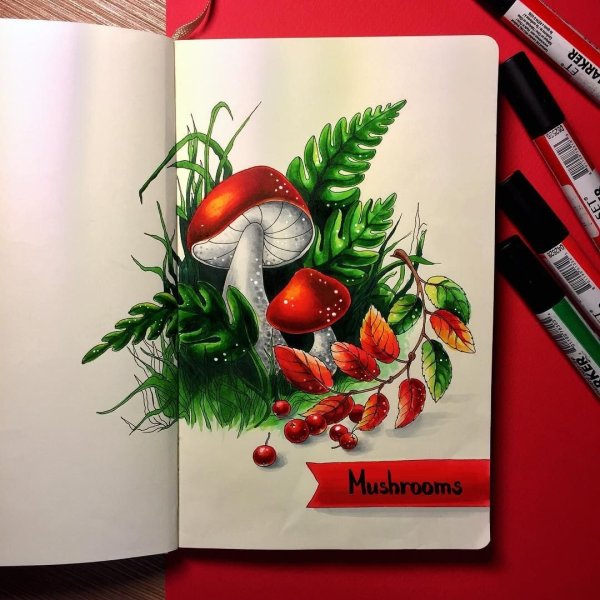 Нарисовать грибы маркерами