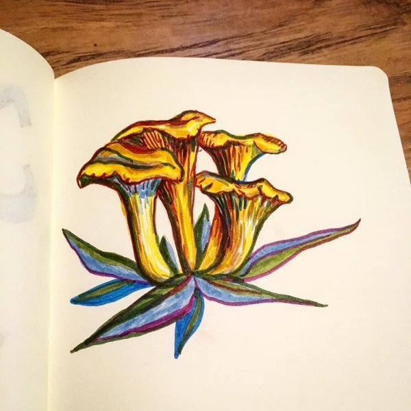 Рисунки маркерами грибы