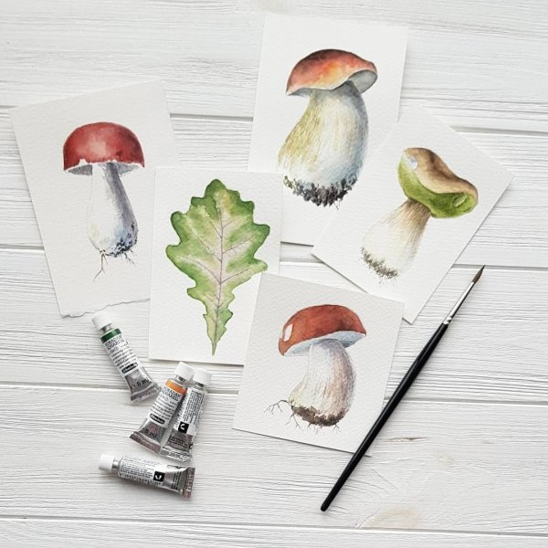 Акварельные скетчи грибочки