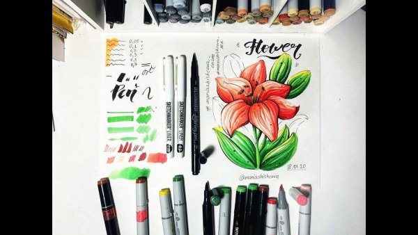 Рисунки для срисовки красками