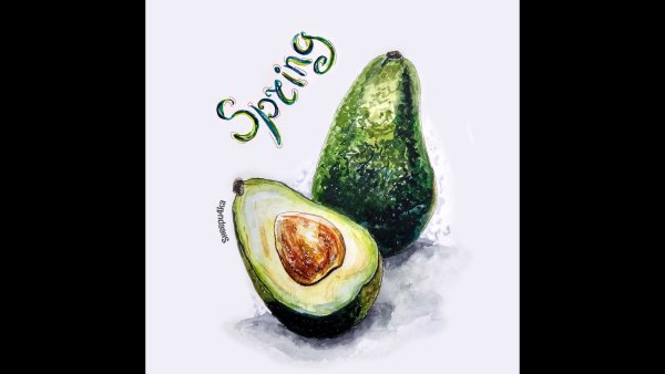 Скетчинг авокадо