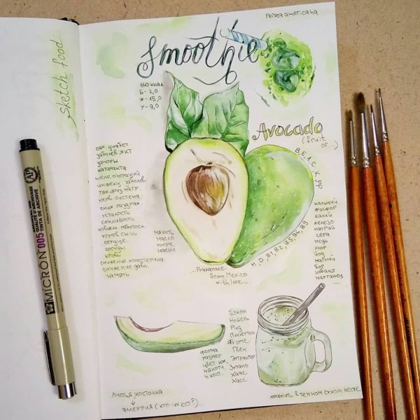 Скетчинг авокадо маркерами