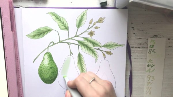Скетчинг авокадо маркерами
