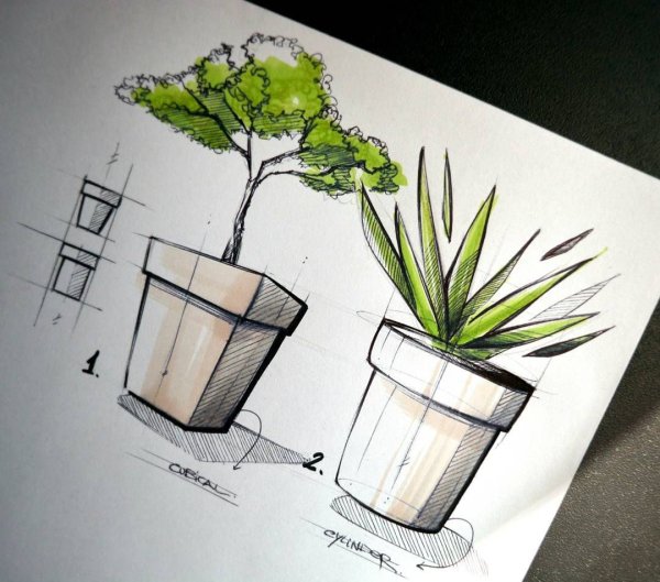 Растения в горшке маркерами