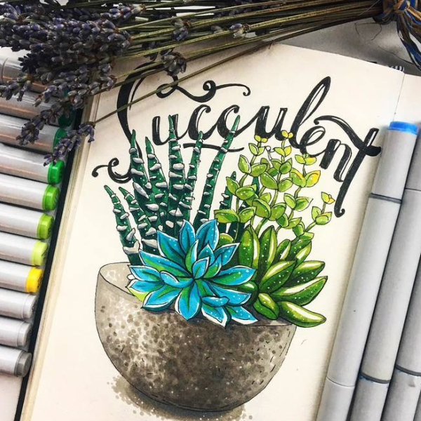 Ботанический скетчинг Суккуленты