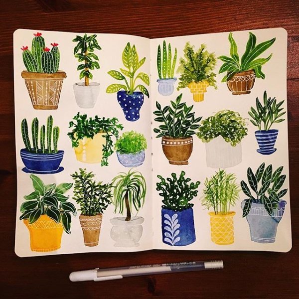 Скетчинг цветы в горшках