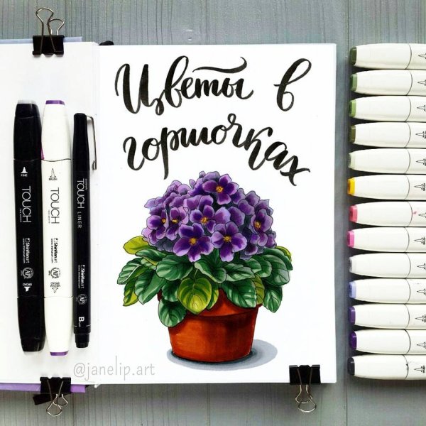 Скетчи маркерами цветочные горшки