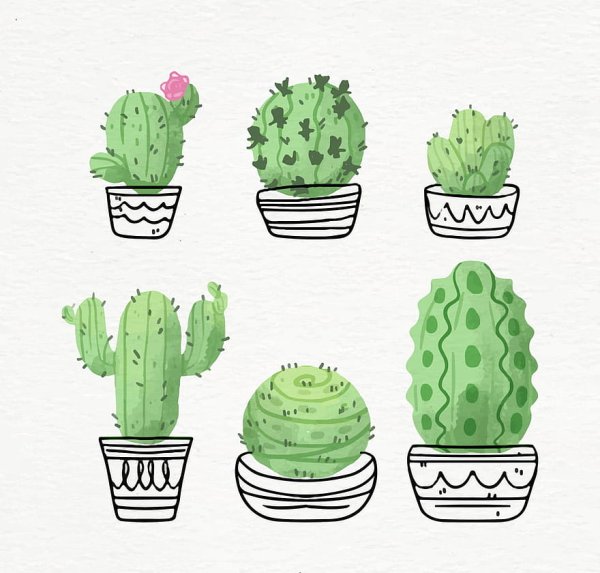 Стилизованные кактусы