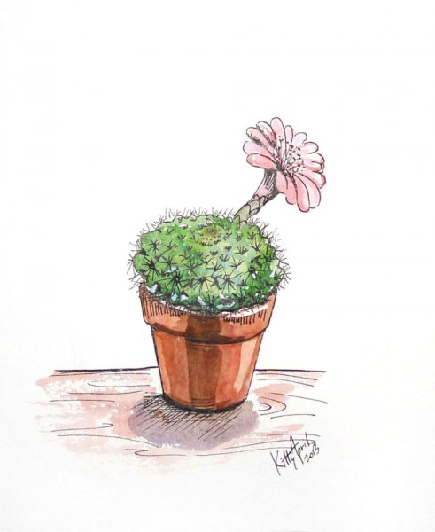 Цветок в горшке рисунок