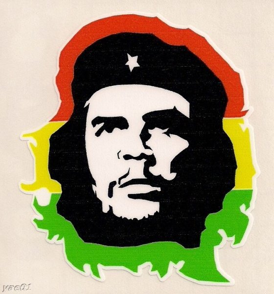 Че Гевара на фоне флага вектор