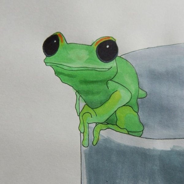 Лягушка рисунок фломастерами