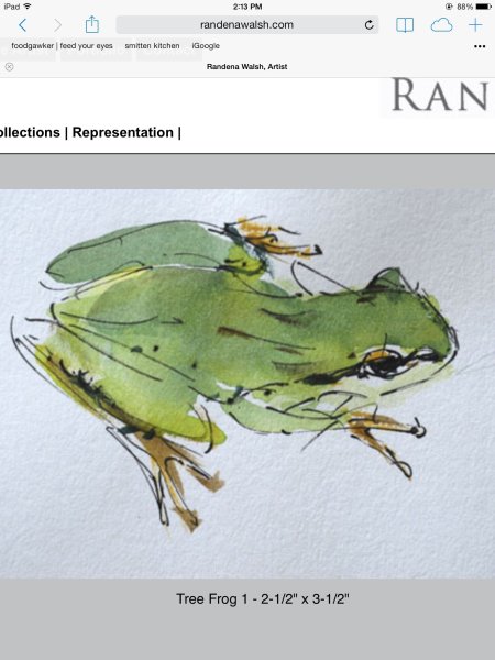 Лягушка акварель скетч