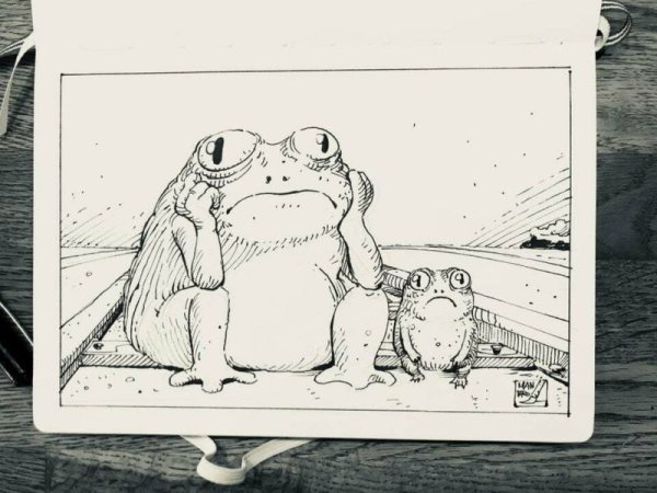 Лягушка скетч