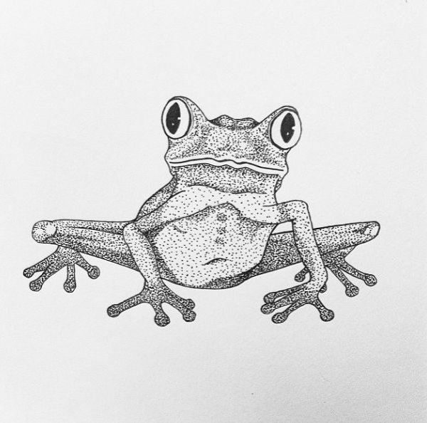 Лягушка эскиз