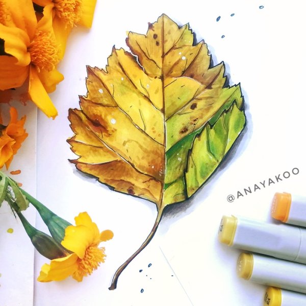 Осенние листья маркерами