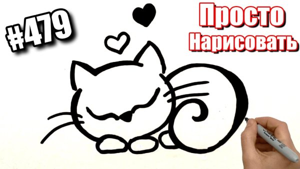 Кот Минимализм