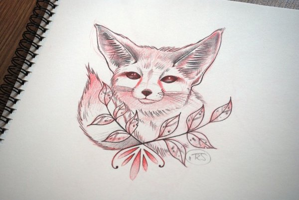 Лисичка фенек тату
