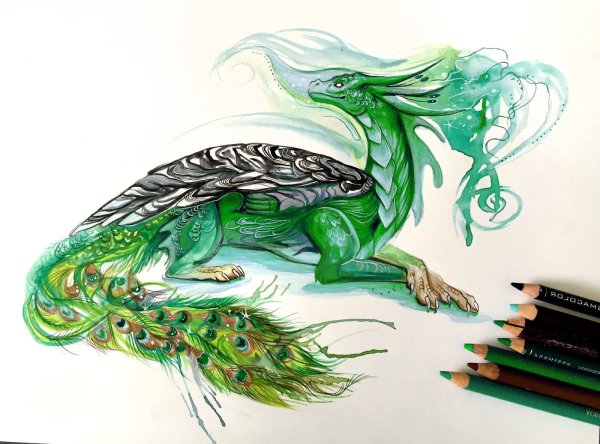 Кэти Липскомб драконы