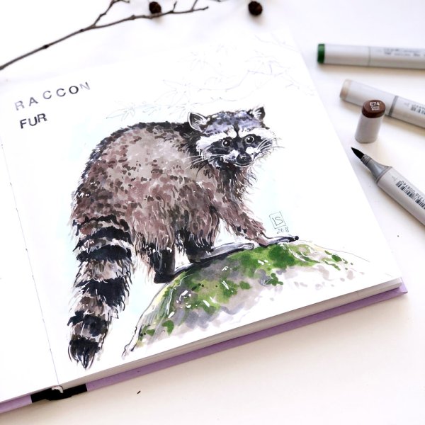 Скетчинг животных