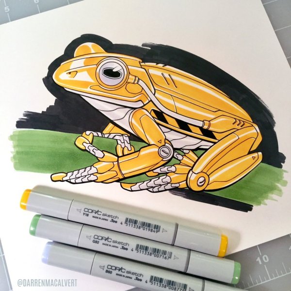 Лягушка скетч маркерами