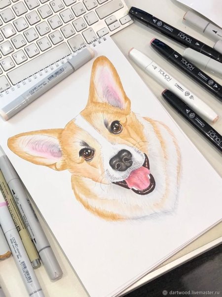 Корги скетч маркерами