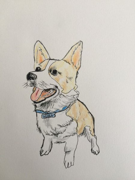 Рисунки собак маркерами
