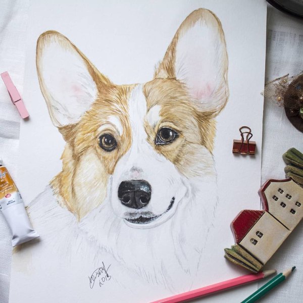 Скетчинг корги