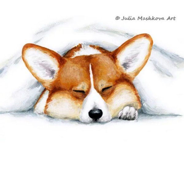 Рисунки маркерами корги
