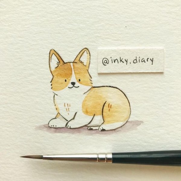 Скетчи животных маркерами