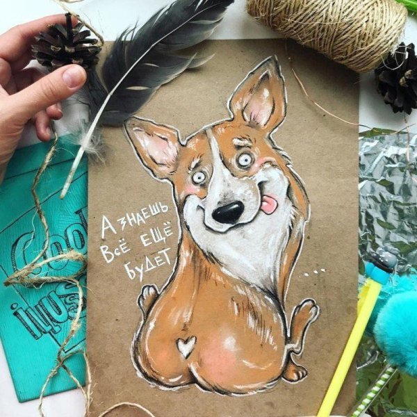 Классные милые Стикеры с корги