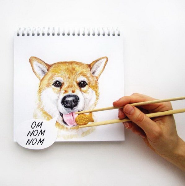 Скетчинг корги