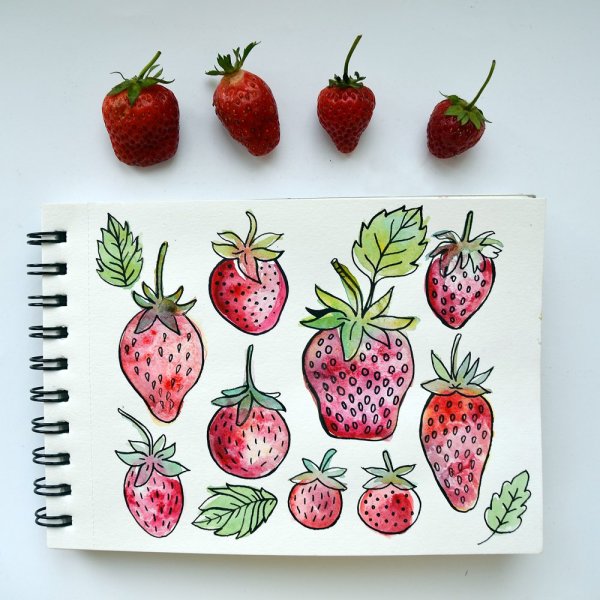 Рисунки для срисовки ягоды