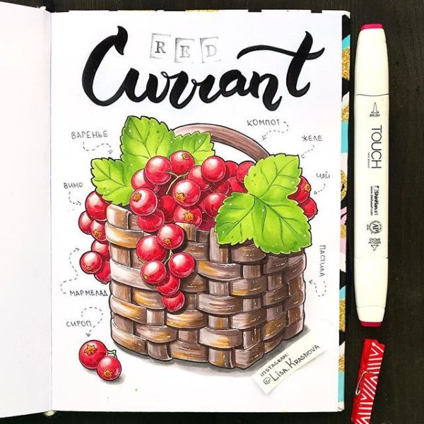 Лиза Краснова скетч